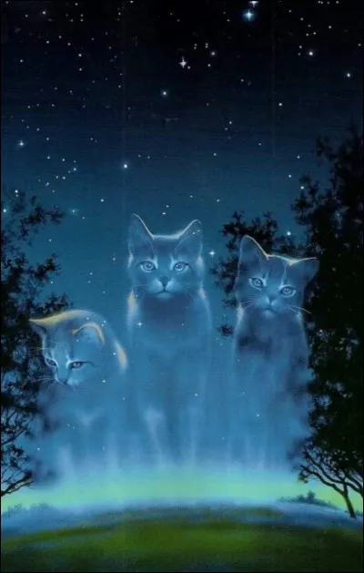 Dernière question, crois-tu au Clan des Étoiles ?