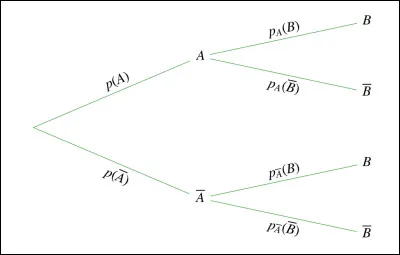 Laquelle de ces affirmations est fausse ?