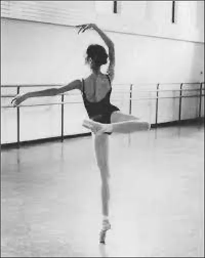 Quelle est cette figure ?