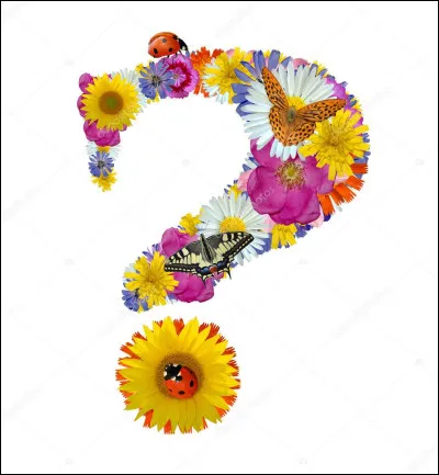 Si je vous dis "On va parler de toit", vous répondez :