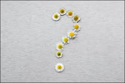 Si je vous dis "Marguerite", que répondez-vous ?