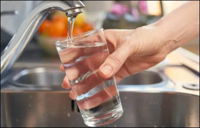 Combien de litres boit un cheval par jour ?