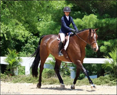 Quand je monte à cheval puis-je partir au galop dès que je monte dessus ?