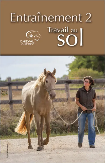 Qu'est-ce que le débourrage ?