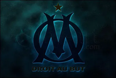 À qui appartient ce logo ?