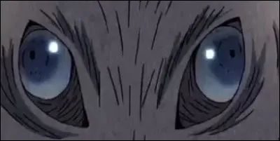 A qui appartiennent ces yeux ?