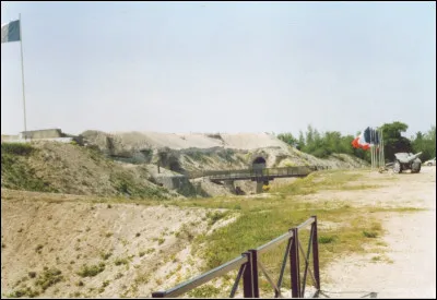 La guêpe noire mangeuse d'araignée est un...