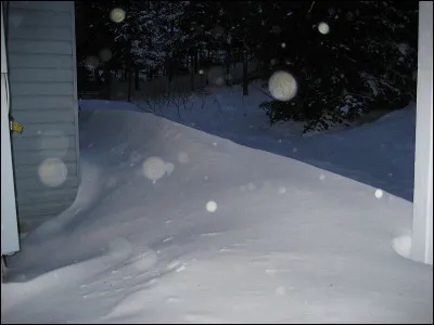 À Rome, quel nom donnait-on à la largesse faite au peuple à l'occasion de certains évènements ?