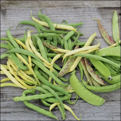 Si la question a un rapport avec une expression française exprimant l'agacement, vous pourriez dire : "...".