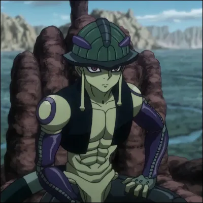 Quel est l'âge de Meruem au moment de sa mort ?