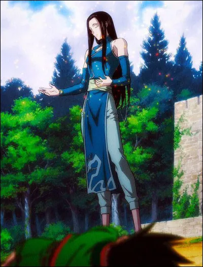 Quel est le bras que Gon casse à Illumi ?