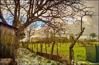 Attention aux averses ! Au mois de mars, il y a souvent des giboulées.
Le mot "giboulée"est...