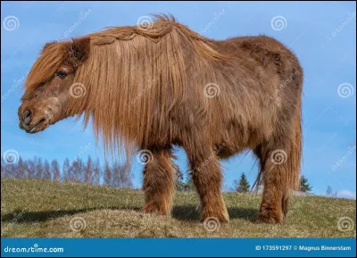 Comment devine-t-on son &acirc;ge ?