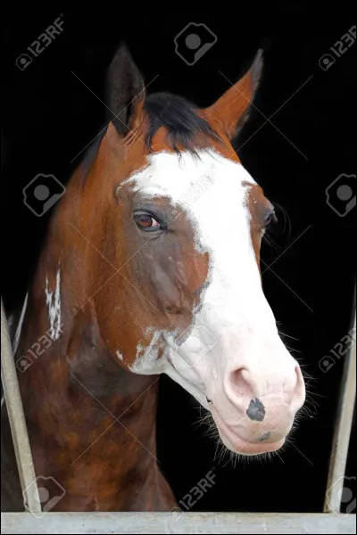 Qui est son cousin ?