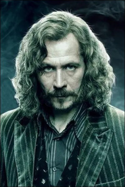 Qui a tué Sirius Black ?