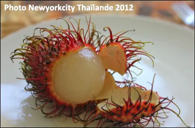 Quel et ce fruit tropical en R avec une écorce fibreuse et une chair juteuse ?