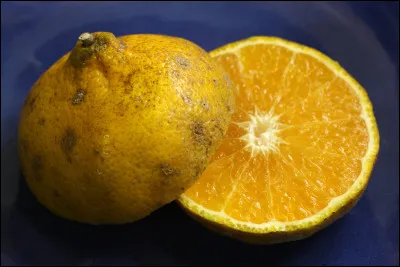 Quel est ce fruit en U, un agrume ovoïde de Jamaïque à la pulpe sucrée ?