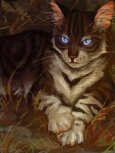 Malheureusement, le chef meurt et le nouveau chef te nomme lieutenant ! Quelle est ta réaction ?