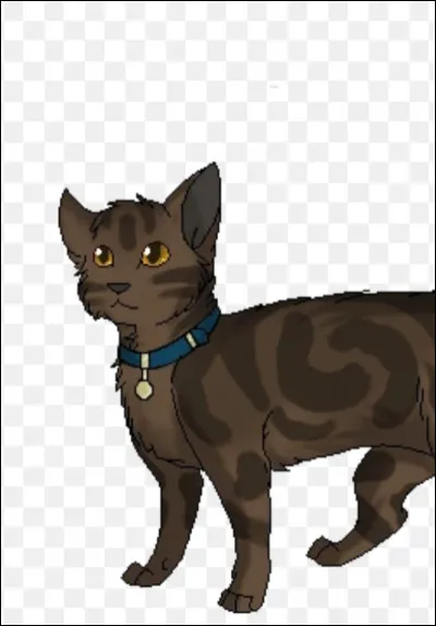 Malheureusement, avant même que le nouveau chef se rende à la Pierre de Lune, une bande de chats errants surpuissants le tue...
 C'est donc toi le chef. Qui choisis-tu comme lieutenant ?