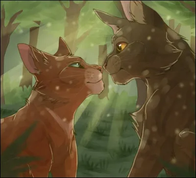 Après ton baptême, ton mentor (Pelage de Tortue) te demande ce que tu veux faire en premier. Que lui réponds-tu ?