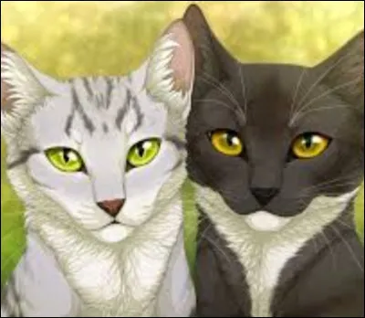 Ton chef, Étoile Ambrée, a une mission importante et tu es nommé pour la faire ! Quelle est ta réaction ?