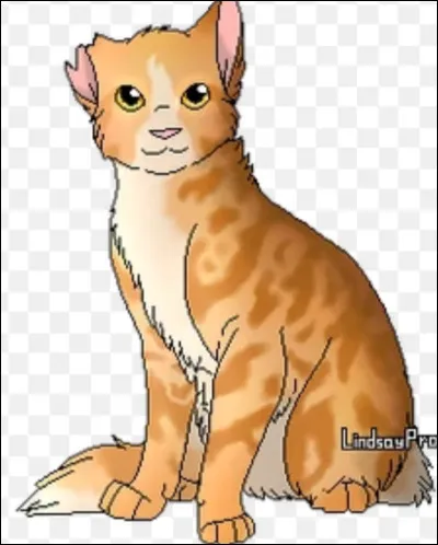 Pour la mission, tu devras combattre une bande de chats errants très puissante. Quel est ton plan ?