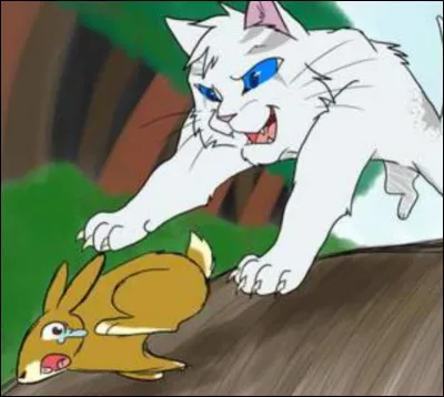 En revenant, ton mentor te propose une petite partie de chasse. Quelle proie attrapes-tu ?