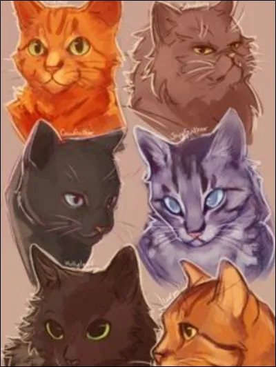 Puis, pour le succès de ta mission, toi et ton frère allez devenir guerriers ! Tu voudrais que ton nom commence par...