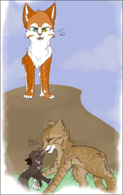 Puis, le chef te donne une apprentie : Nuage de Coquelicots.
Quelle est ta réaction ?