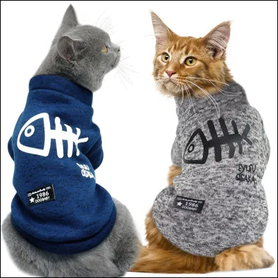 Pour thabiller le matin, que mets-tu ?