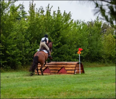Quelle est cette discipline équestre ?