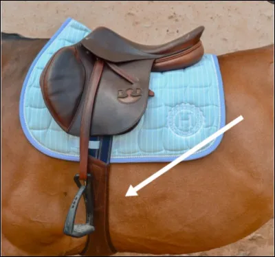 Comment s'appelle cette partie qui garde la selle en place ?