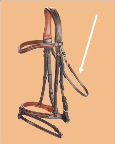 Quelle est cette partie du filet ?