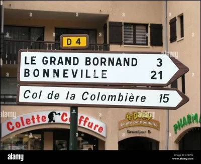 Dans quel département la commune du Grand-Bornand est-elle située ?