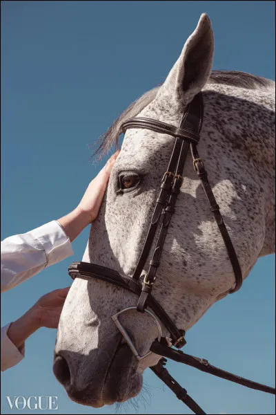 Le cheval sur la photo est blanc.