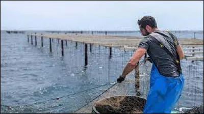 Quel est le nom de l'élevage de coquillages ?