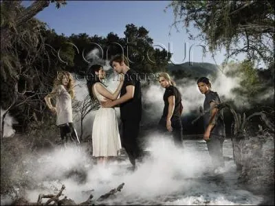 Quelle est la marque de la voiture d'Edward ?