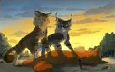 Quelle est la prophétie de la deuxième partie du cycle 2 ?