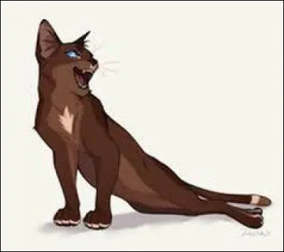 Comment Belle Églantine perd-elle l'usage de ses pattes arrière ?