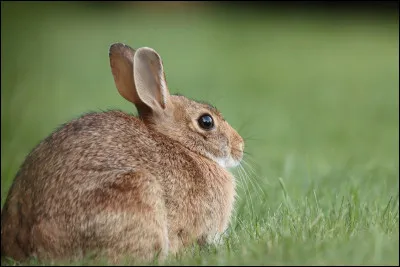 Quelle image préférez-vous ? (3/5)