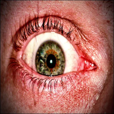 À quel chanteur ou groupe de musique doit-on ''Je fume pu d'shit'' ?