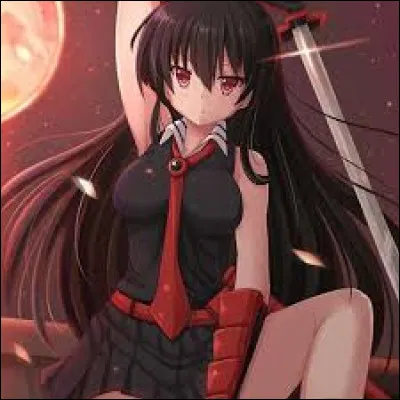 De quel manga vient Akame ?