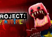 Quiz Connais-tu bien 'Project Playtime' ?