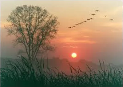 Qui a écrit le poème intitulé "Demain, dès l'aube..." ?