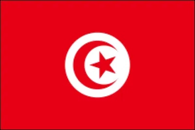 Quel pays correspond à ce drapeau ?