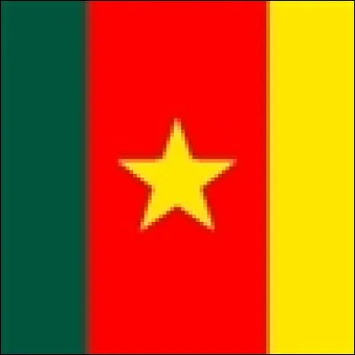 Quel pays correspond à ce drapeau ?