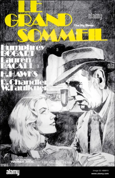 Quel écrivain est l'auteur du roman policier "Le Grand sommeil" ?