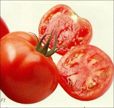 La tomate contiendrait aussi mais en trs petite quantit : du magnsium, du calcium et du fer.