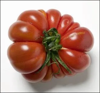 Le lycopne, puissant anti-oxydant qui s'attaque aux radicaux libres, responsables en partie du vieillissement de la peau se trouve dans toutes les tomates.