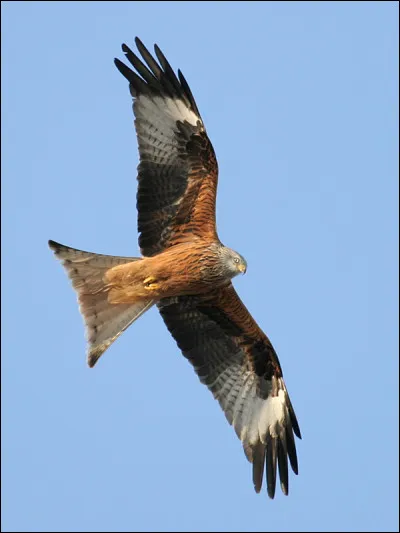 En 2022, combien de temps met George Miller "&agrave; l'attendre" ?